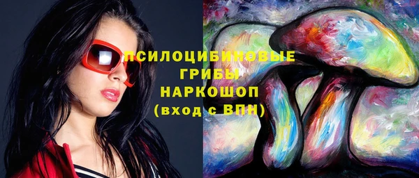 спиды Алзамай