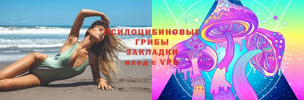 спиды Алзамай
